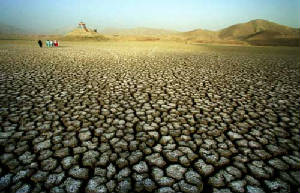 drought.jpg
